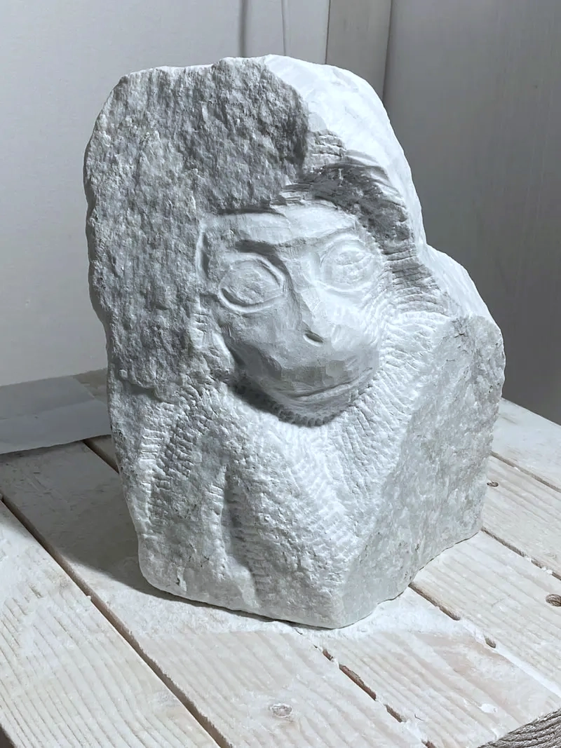 Monkey Angle 1
