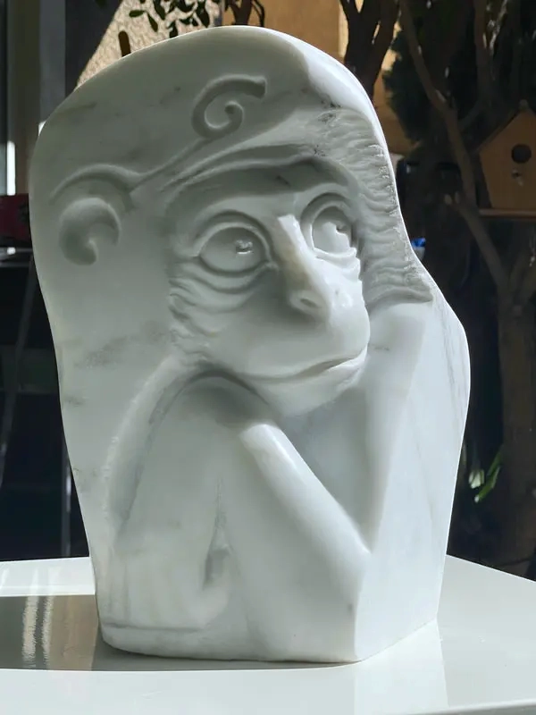Monkey Angle 2